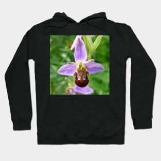 Bee Orchid Hoodie